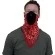 Paisley Red Mask